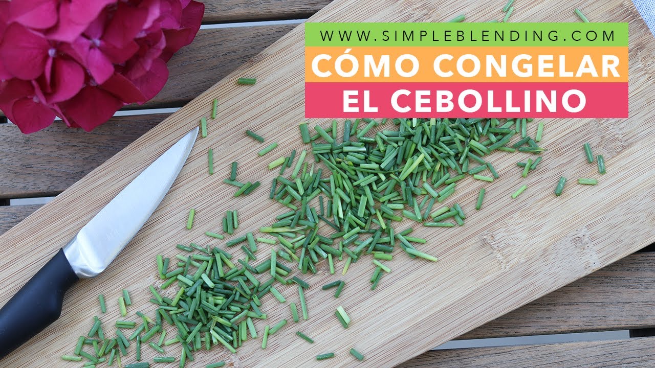 C&Oacute;MO CONGELAR EL CEBOLLINO EN CASA | Congelaci&oacute;n casera del cebollino