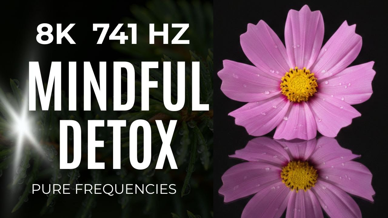 THE PURE ELEMENT — MINDFUL DETOX | 741 Hz | Клеточное Очищение и Осознанное Питание