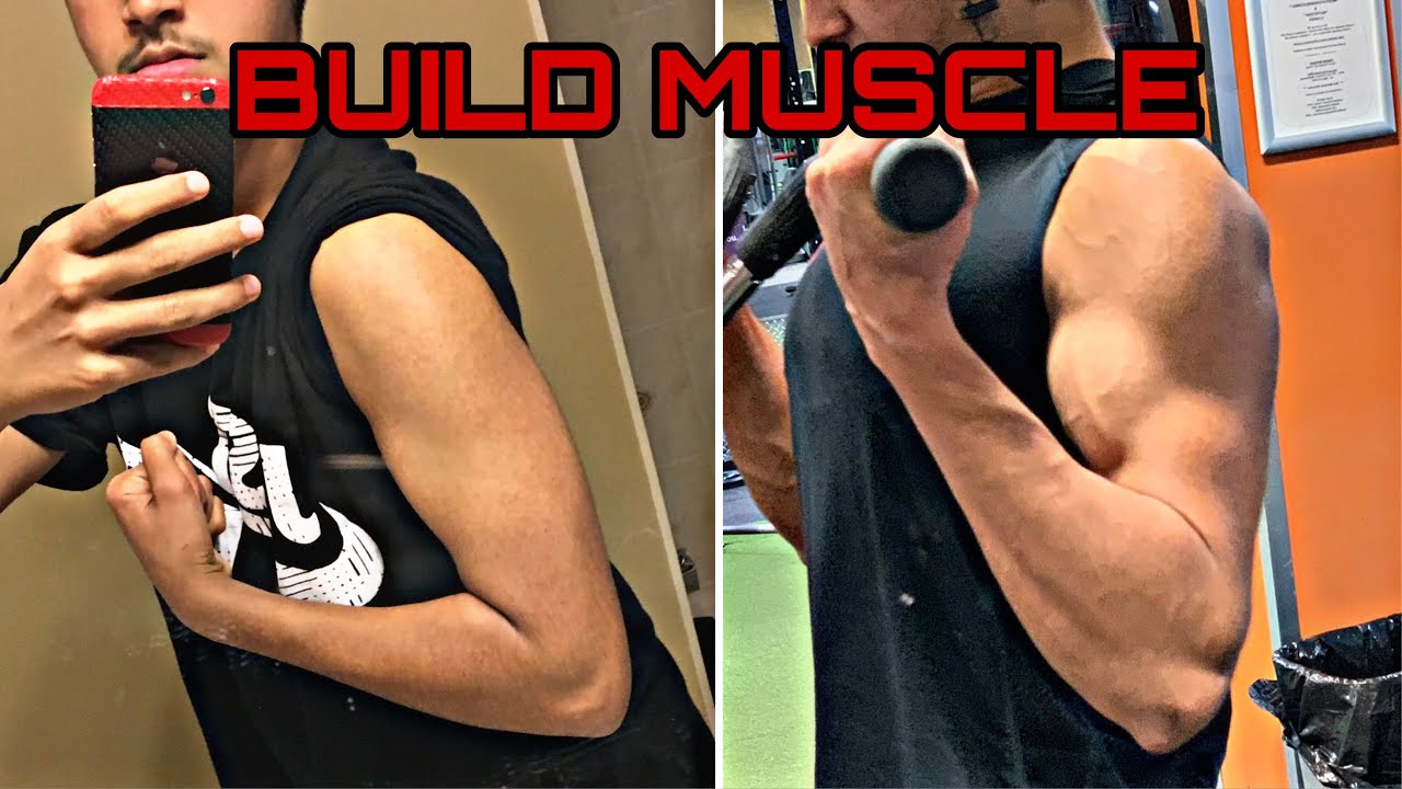 Best Workout Routine To Build Muscle || PPL Workout Split