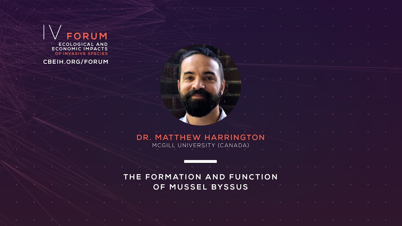 The Formation and Function of Mussel Byssus - Dr. Matthew Harrington