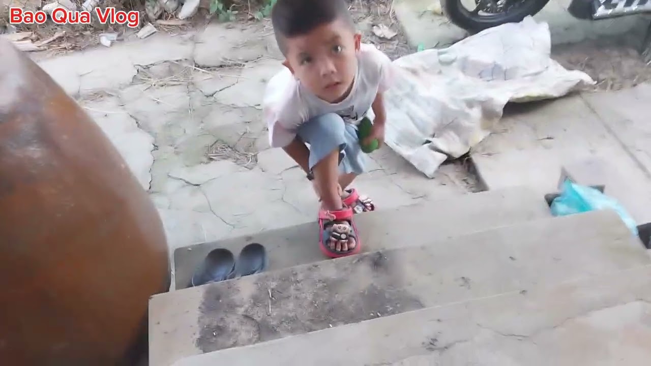 Thâm vườn rau và dọn dẹp nhà ...