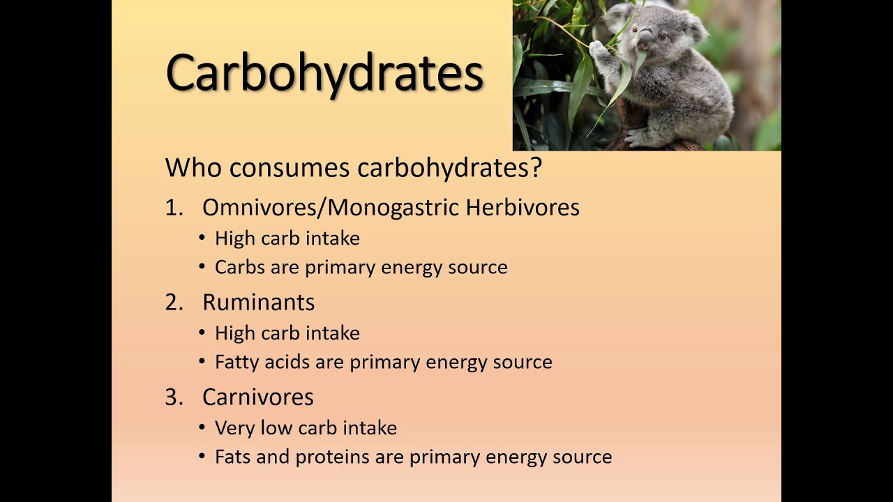Carbohydrates