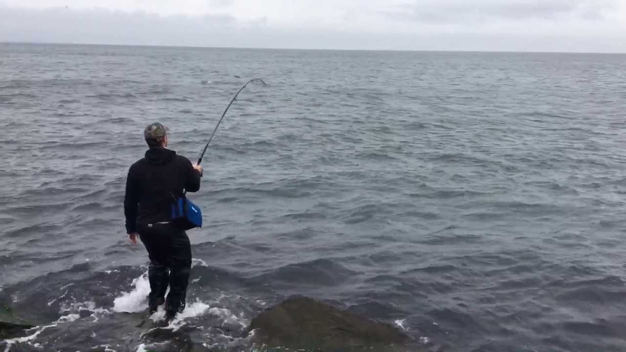 Montauk Inlet Jetty Albies