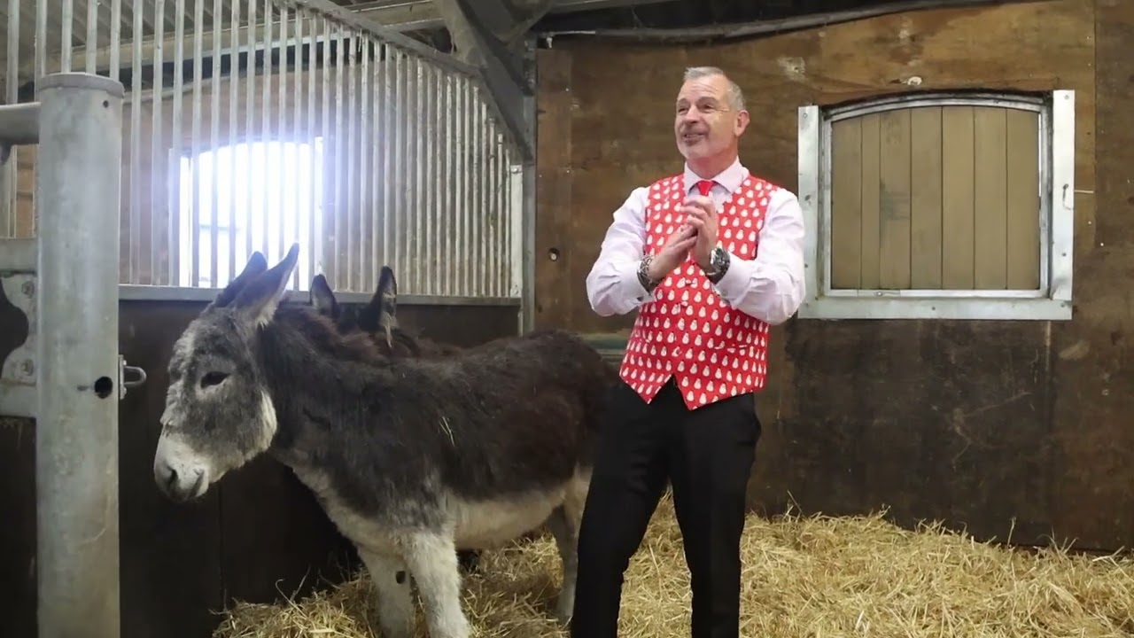SJG Dominic The Donkey 2024 (assembly)