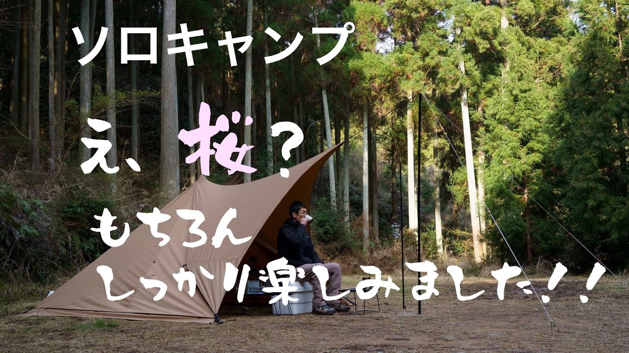 【ソロキャンプ】満開の桜を満喫　《山口県下関市 菊川自然活用村》パンダtc＋、シルス170tc