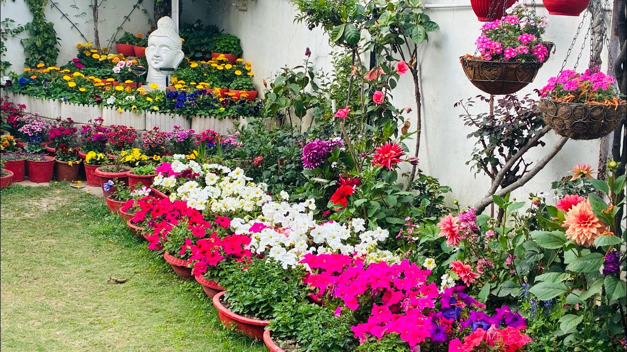 February Sunday garden overview 