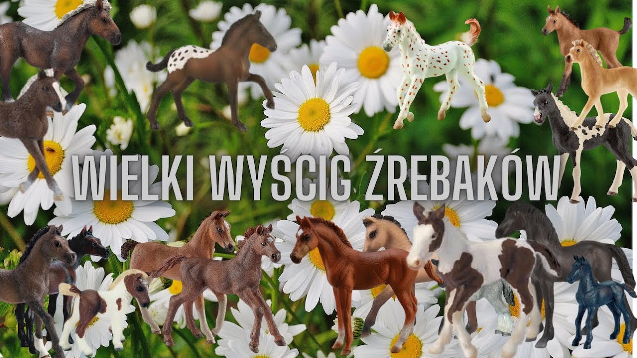 Serial schleich: Przygody w Stadninie Nadziei odc.31 - Wielki wyścig źrebaków  🐎