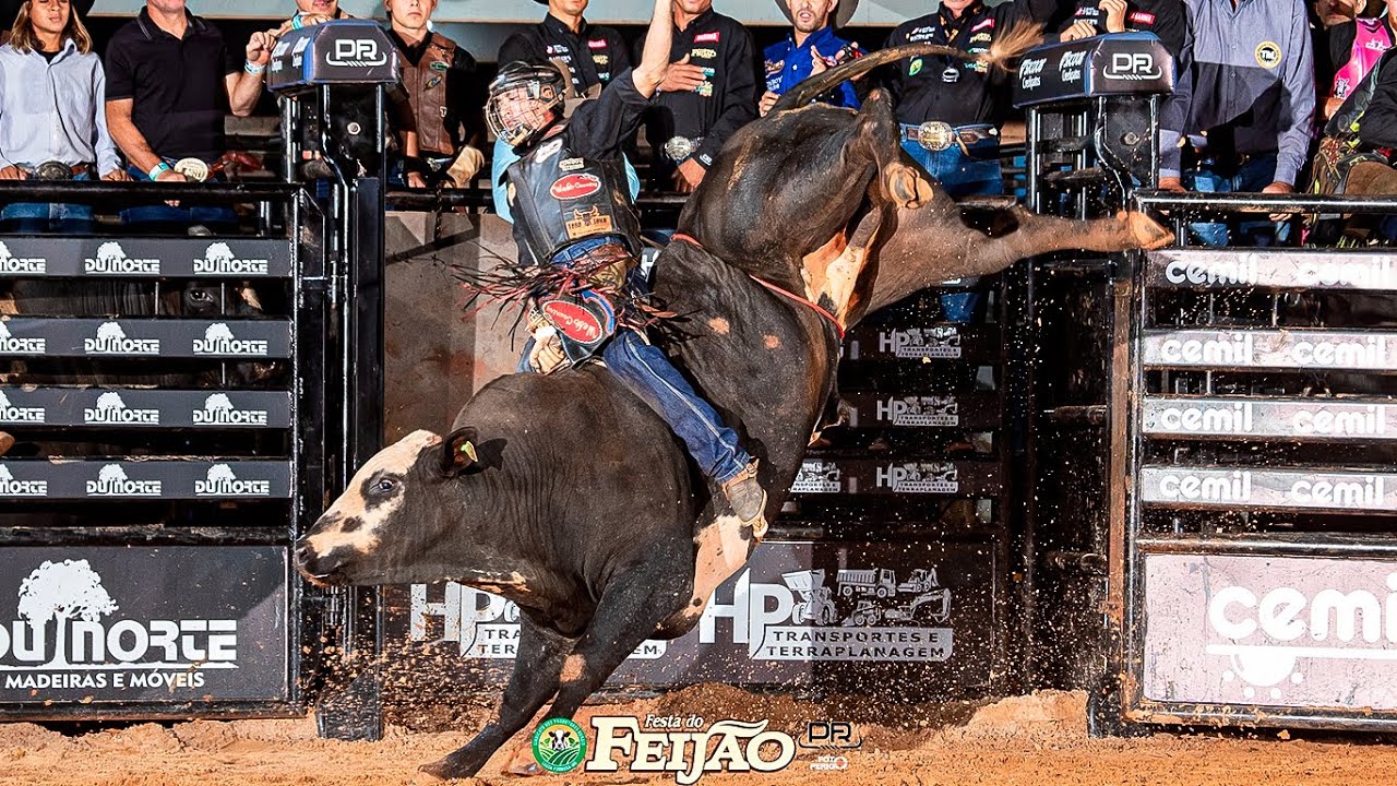 RODEIO DE LAGOA FORMOSA-MG 2024 - TOP 17 MELHORES TOUROS | SEXTA FEIRA