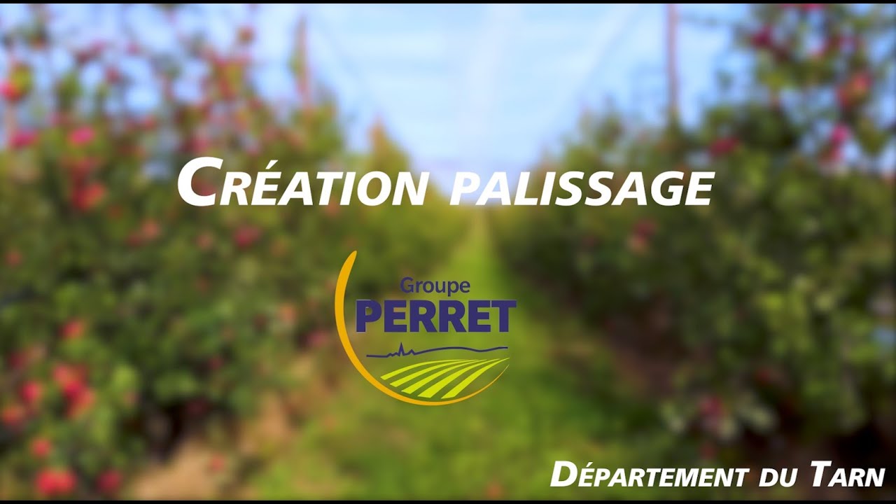 Installation de palissage/irrigation par le Groupe Perret