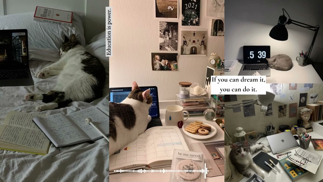 a playlist of songs that make studying suck less✦