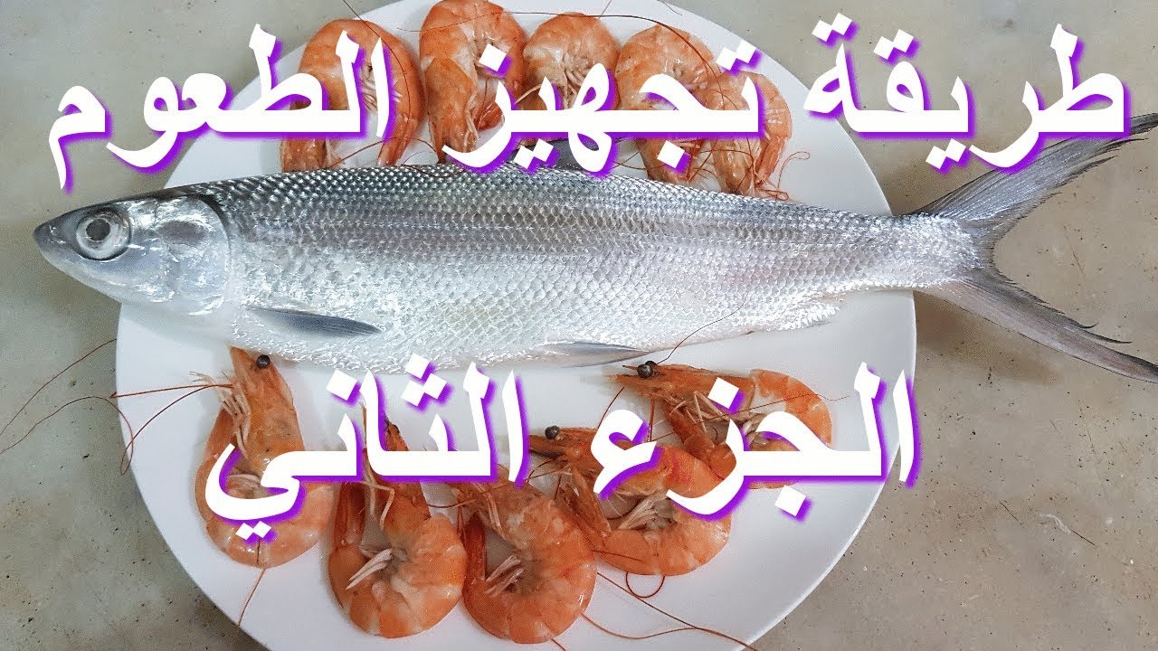 تعلم طريقة تجهيز و تخزين الطعوم للمبتدئين   الجزء الثاني   الجمبري و السلماني و القملة