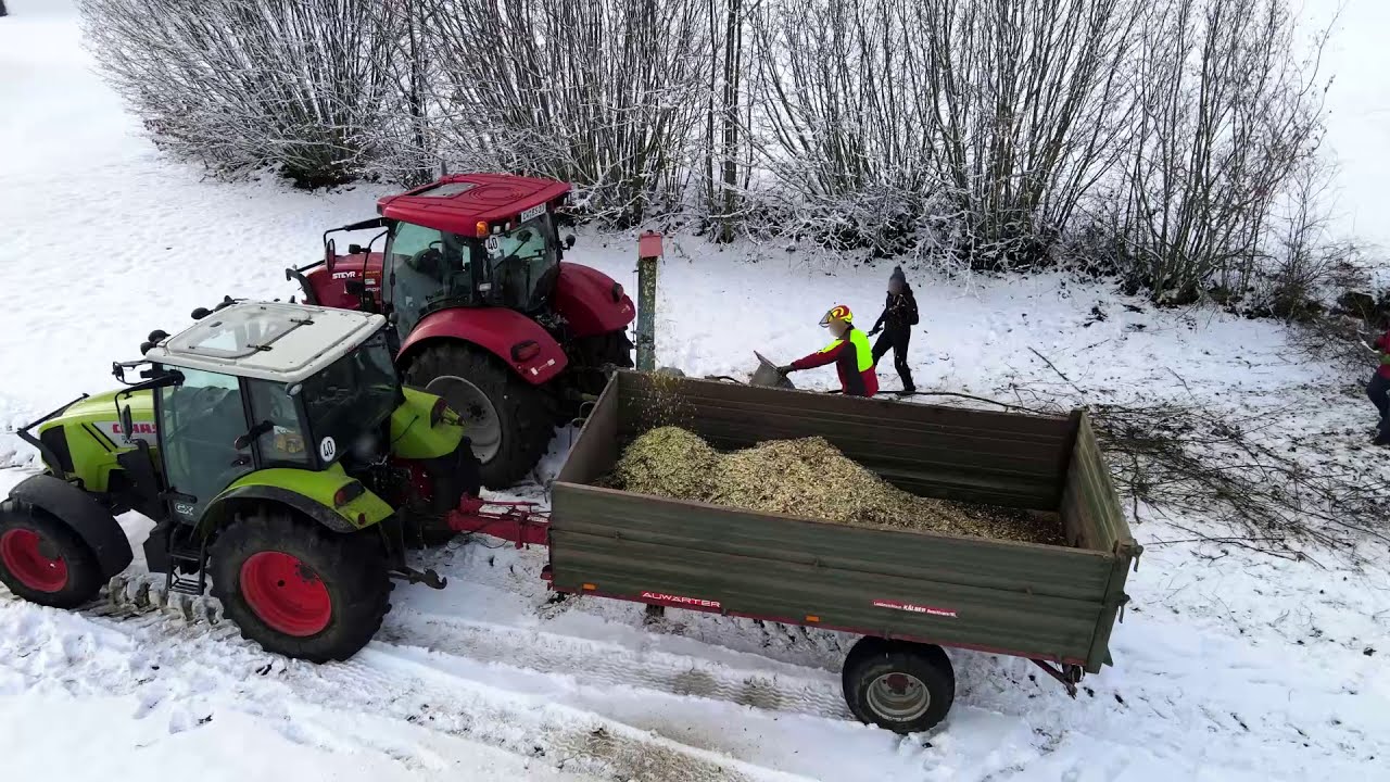 Hecke wird zu Kleinholz! - Holz-Häckseln mit Steyr 4120