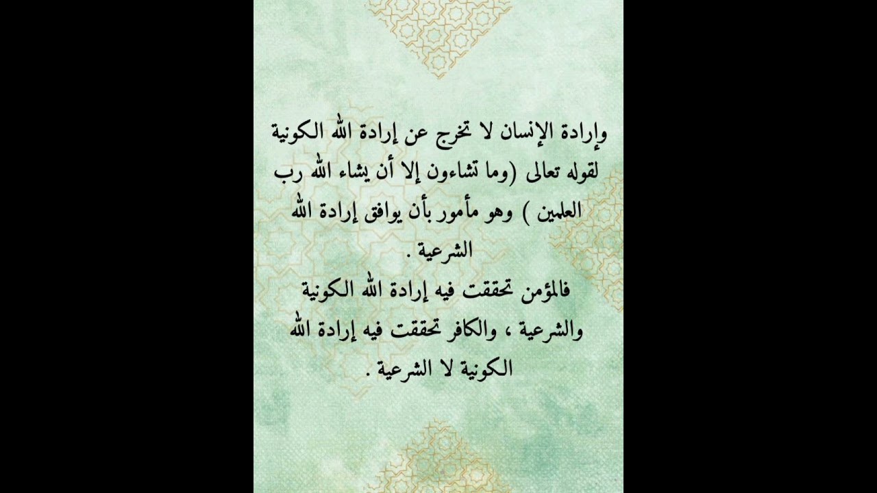 ١٢ فبراير ٢٠٢٦