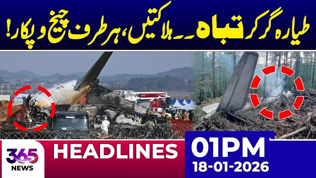 Plane Crashes &ndash; Panic Everywhere! | 01PM Headlines | 18 Jan 2026 | 365 Plus