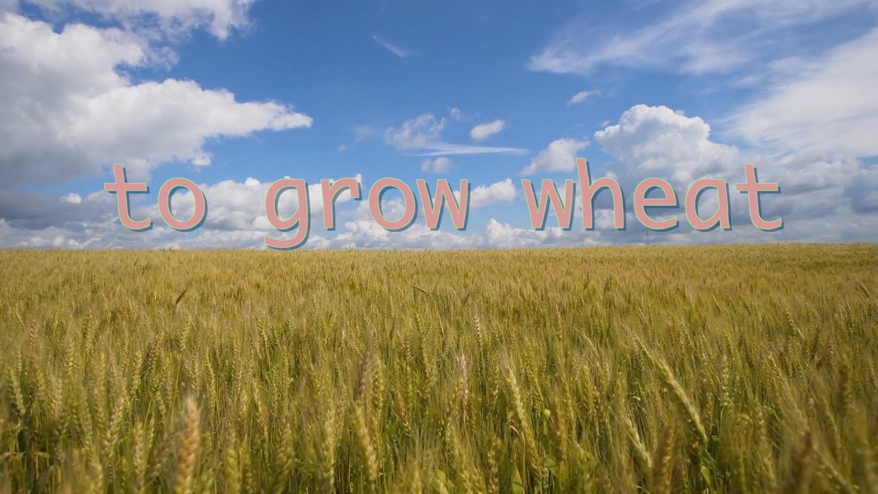 i'm walking to a farm