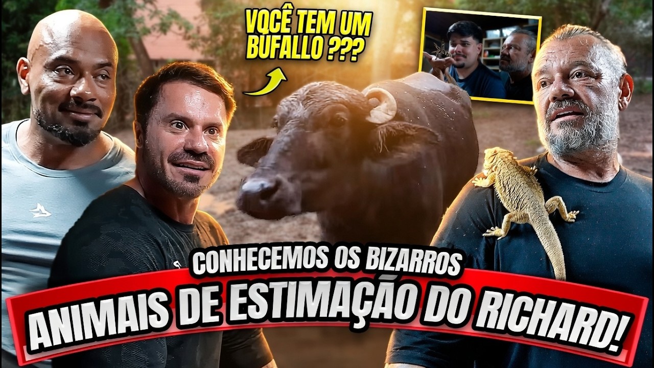 BÚFALO DE ESTIMAÇÃO? RICHARD RASMUSSEN É UM MALUCO !!!