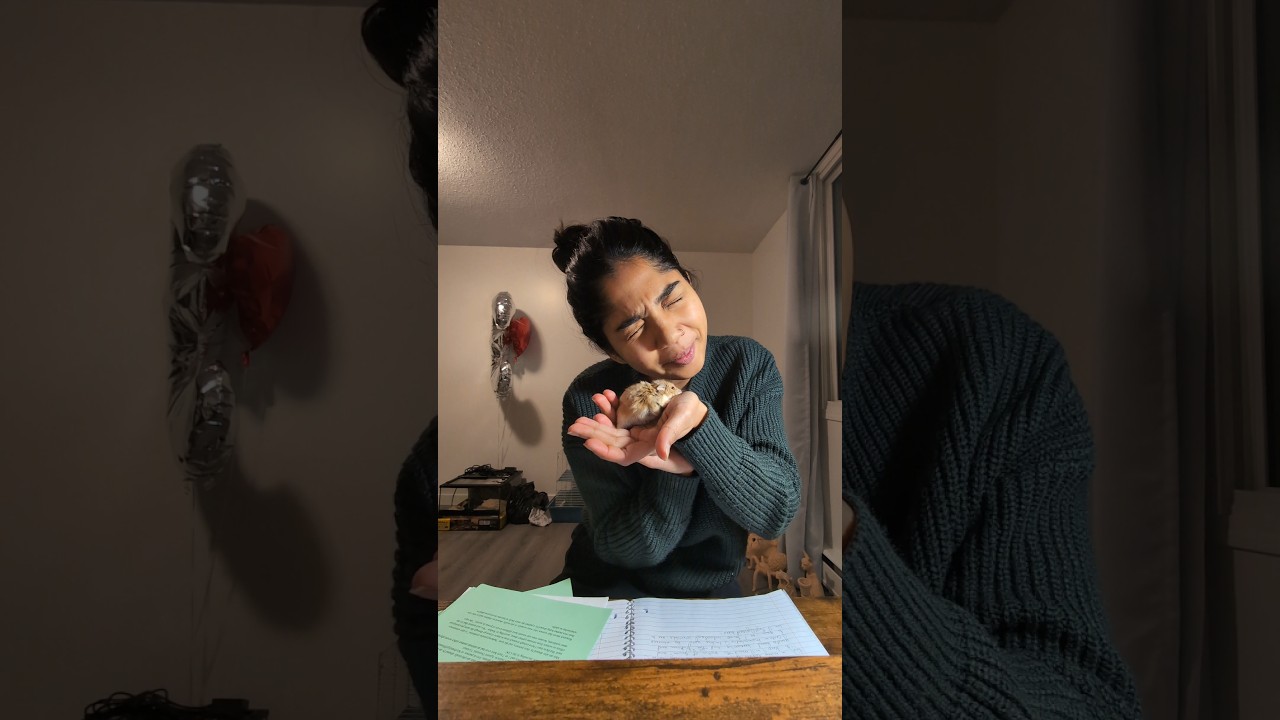 #minivlog