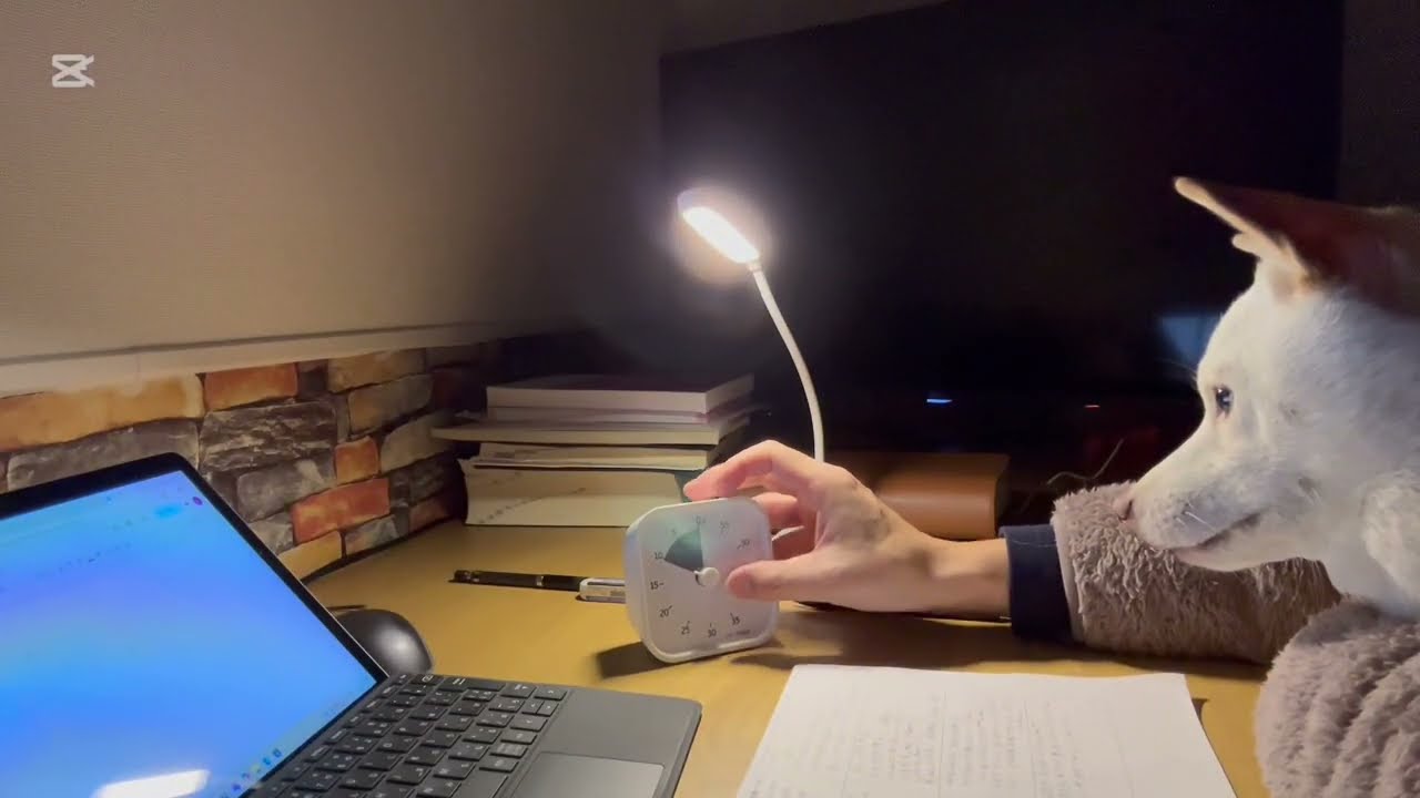【study with me】10min / no bgm  出勤前・通学前の１０分勉強　55
