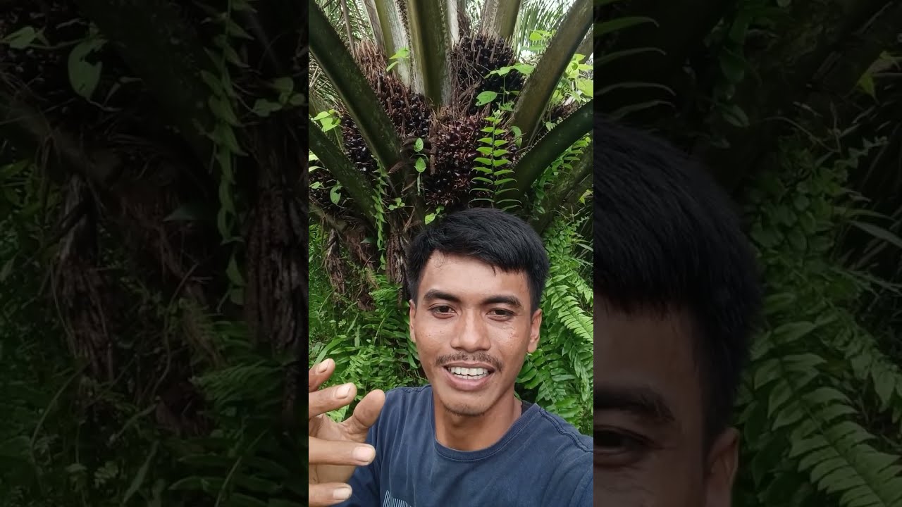 Kita Spil buah dura kita 🔥
