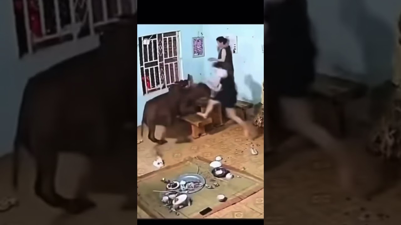 Uninvited Visitor
