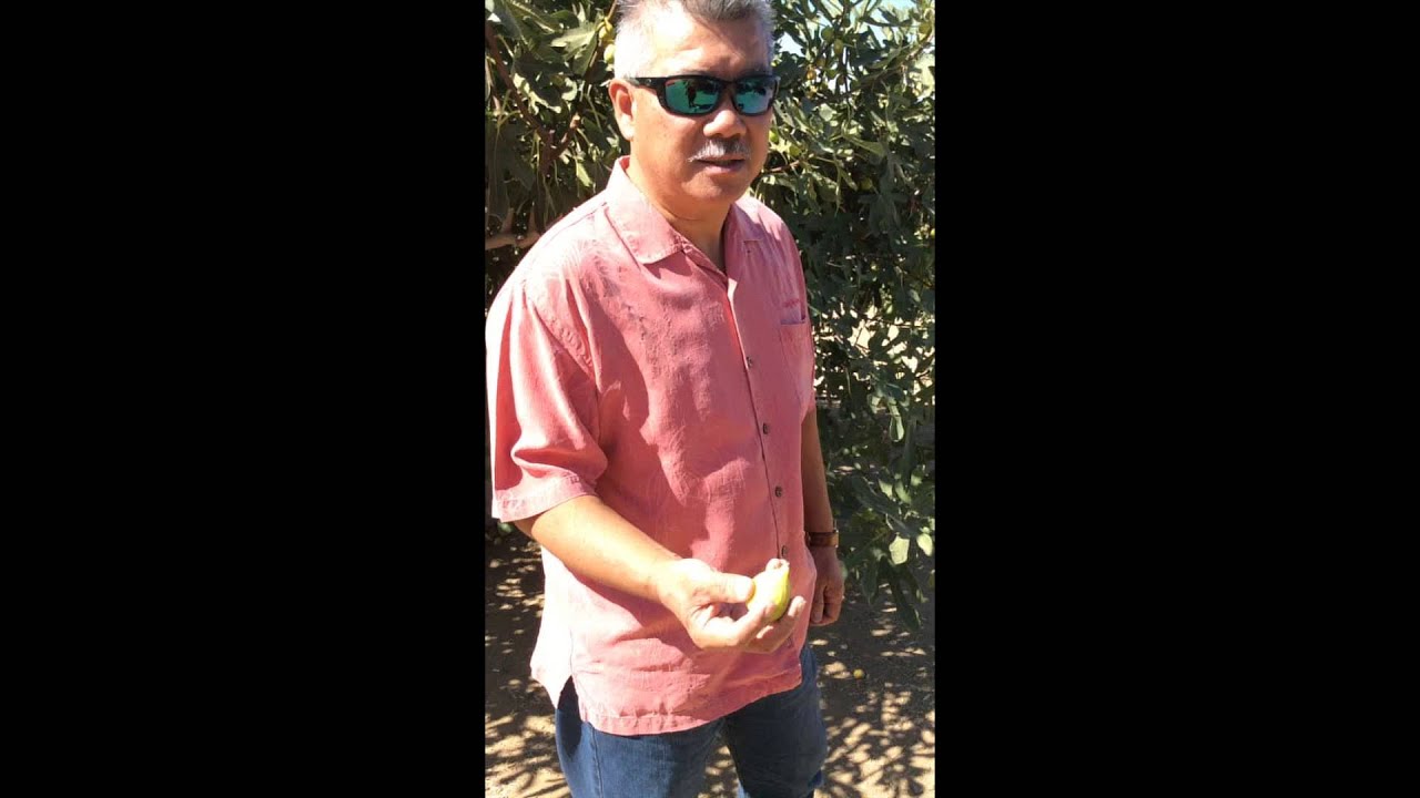 Meet Gary Jue, president of Valley Fig Growers