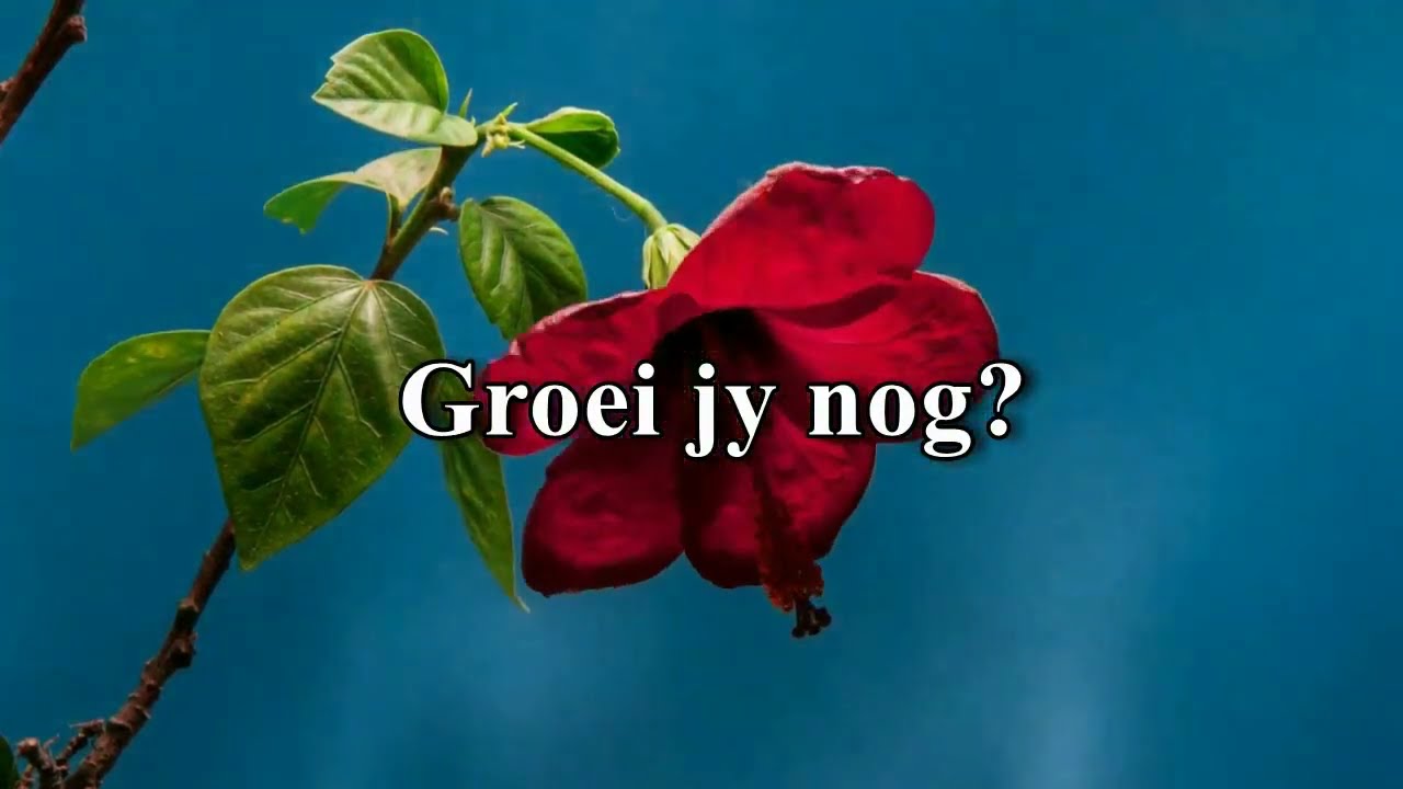 Geestelike Groei