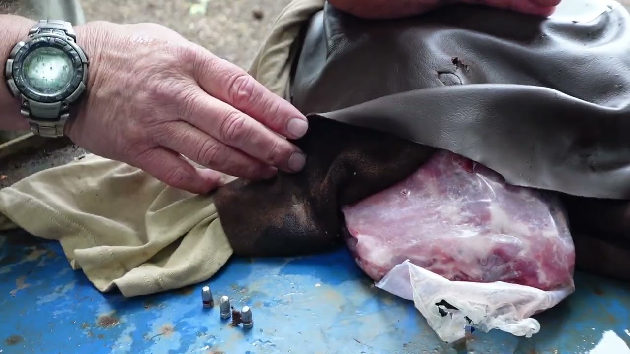 25 auto buffalo bore review