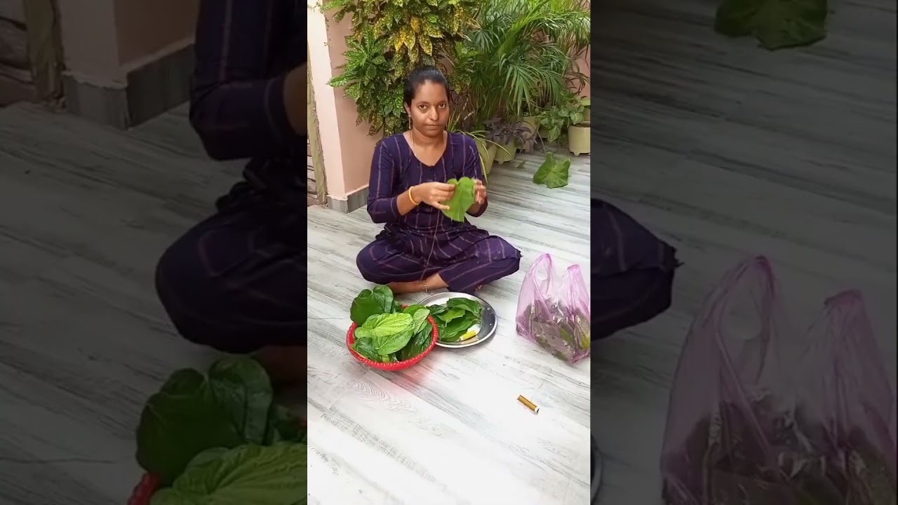 tamalapakula danda 🙏#shortvideos #teluguvlogs #ytshort #sorts