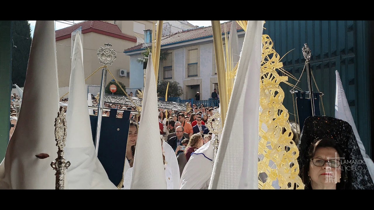 Salida completa Borriquilla - Semana Santa Jaén 2019
