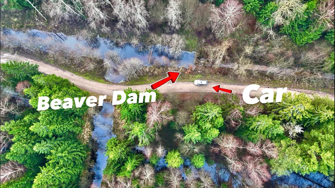 GRAND Beaver Dam DRAIN