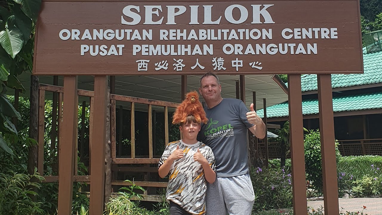 Sepilok Orangutan Rehabilitation Centre August 2024