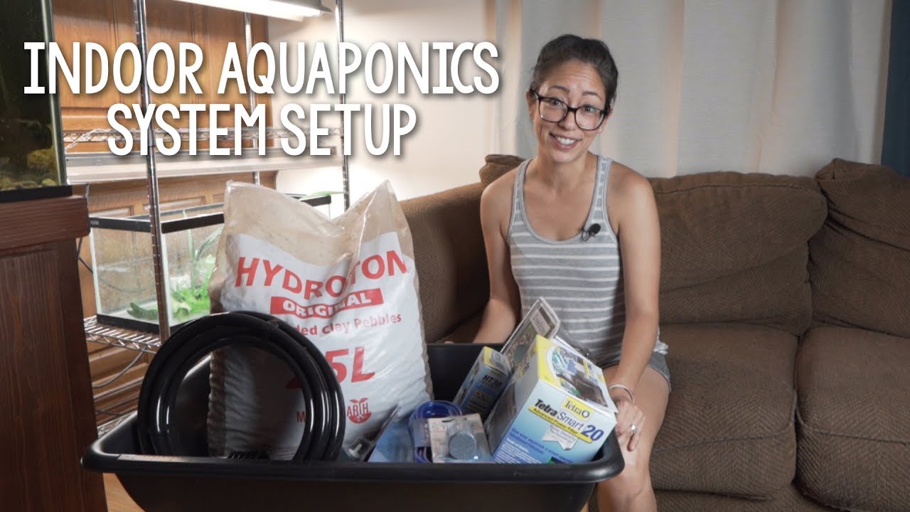 DIY Indoor Aquaponics System Setup