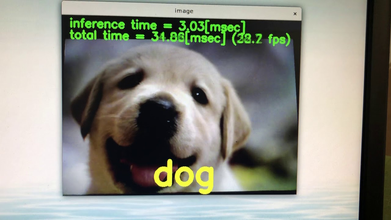 Google Coral Dev Board Classification of dog and cat