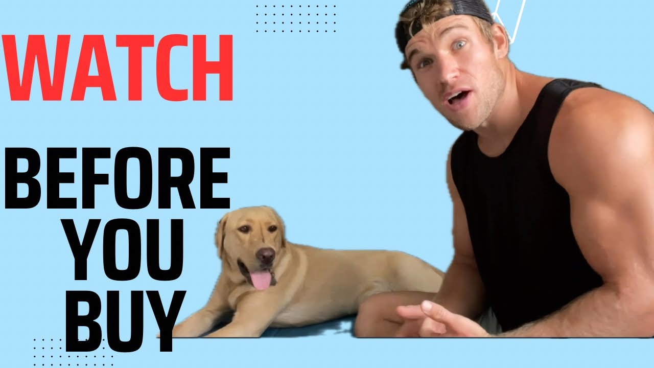 Honest review of Green Pet Shop Dog Cooling Mat - Pressure Activated