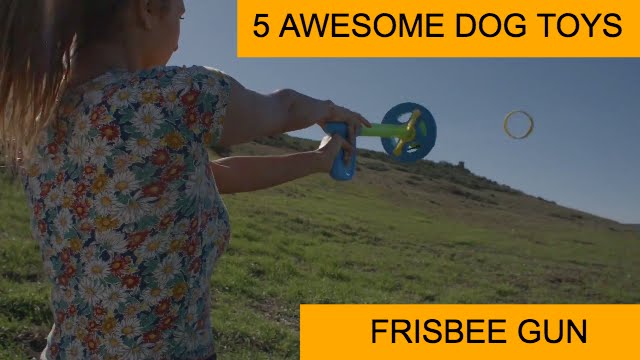 5 New Cool Dog Toys