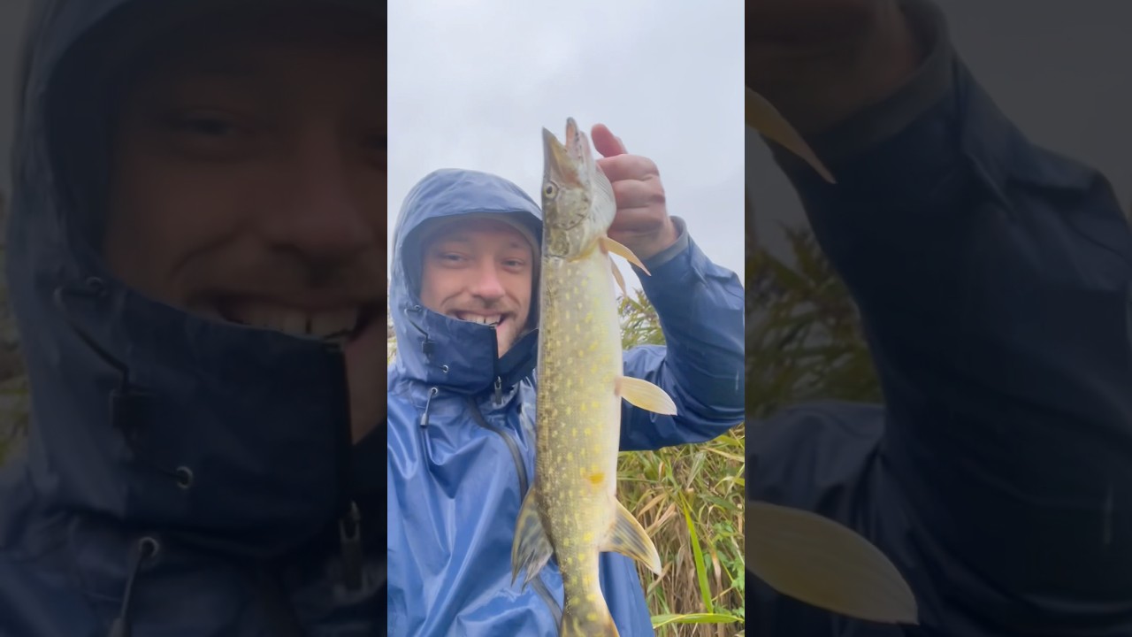 Jesienny spinning z brzegu na dzikiej wodzie 💪 | #wędkarstwo #fishing #szczupak #northernpike