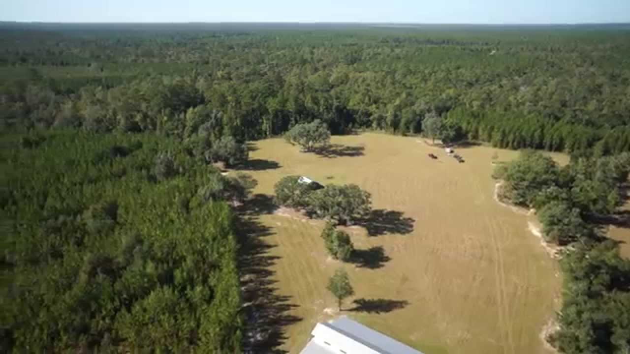 Longbranch Crossing - 2,785 +/- Acres of Hunting, Ranch and Timber