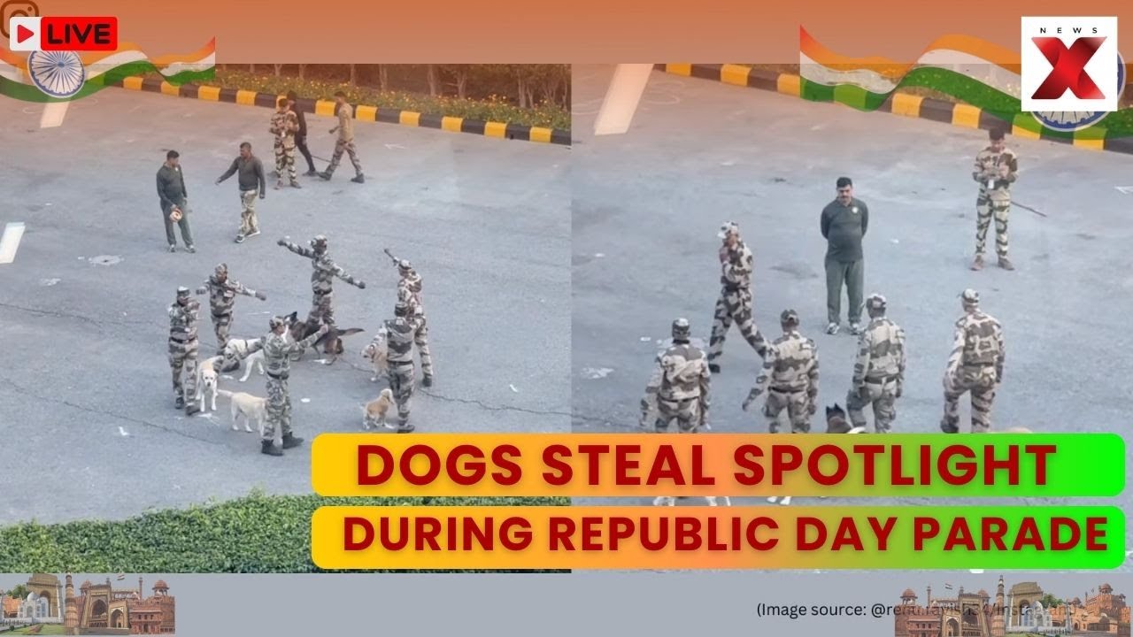 77th Republic Day LIVE: Parade Showcases Brave Four-Legged Heroes at Attari-Wagah | NewsX