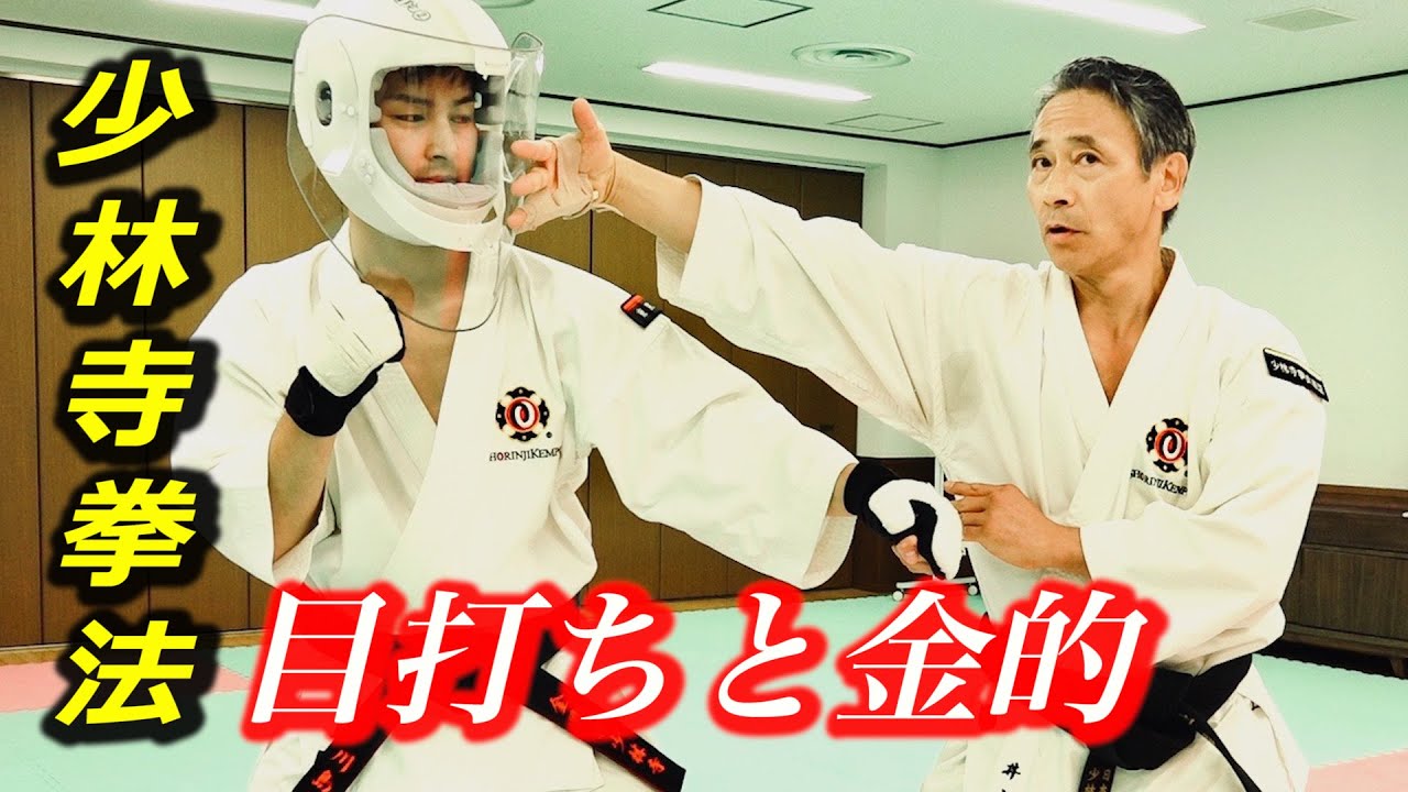 Attack the Eye and Groin ! Amazing technique of Shorinji Kempo