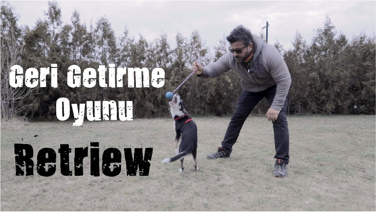 Geri Getirme Oyunu ( Retrieve )