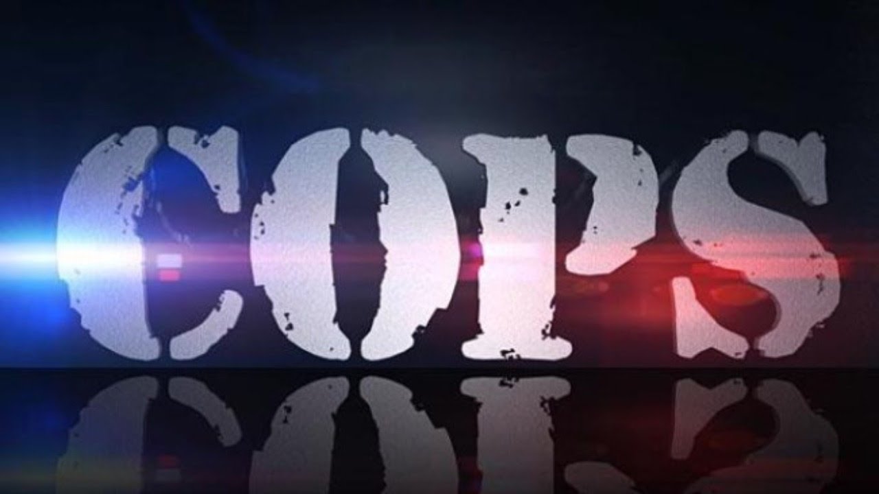 Reality TV Show 'COPS' Cancelled After 33 Seasons