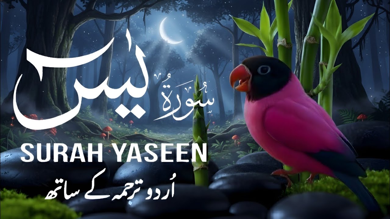 📖Surah Yaseen Full with Urdu Translation |Beautiful Quran Tilawat | Surah Yasin Recitation HD