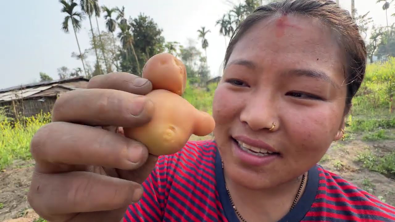 Alu khod diya. 🥔 😊