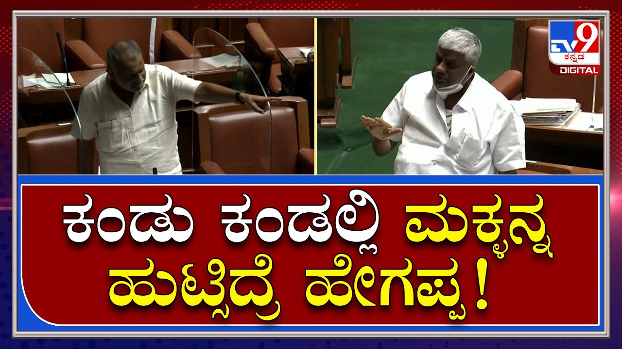 Madhuswamy-Revanna Fight JDS ಸರ್ಕಾರ ಇದ್ದಾಗ BJP ಶಾಸಕರಿಗೆ ಎಷ್ಟು ಅನುದಾನ ಕೊಟ್ಟಿದ್ರಿ ಹೇಳಪ್ಪ|Tv9kannada