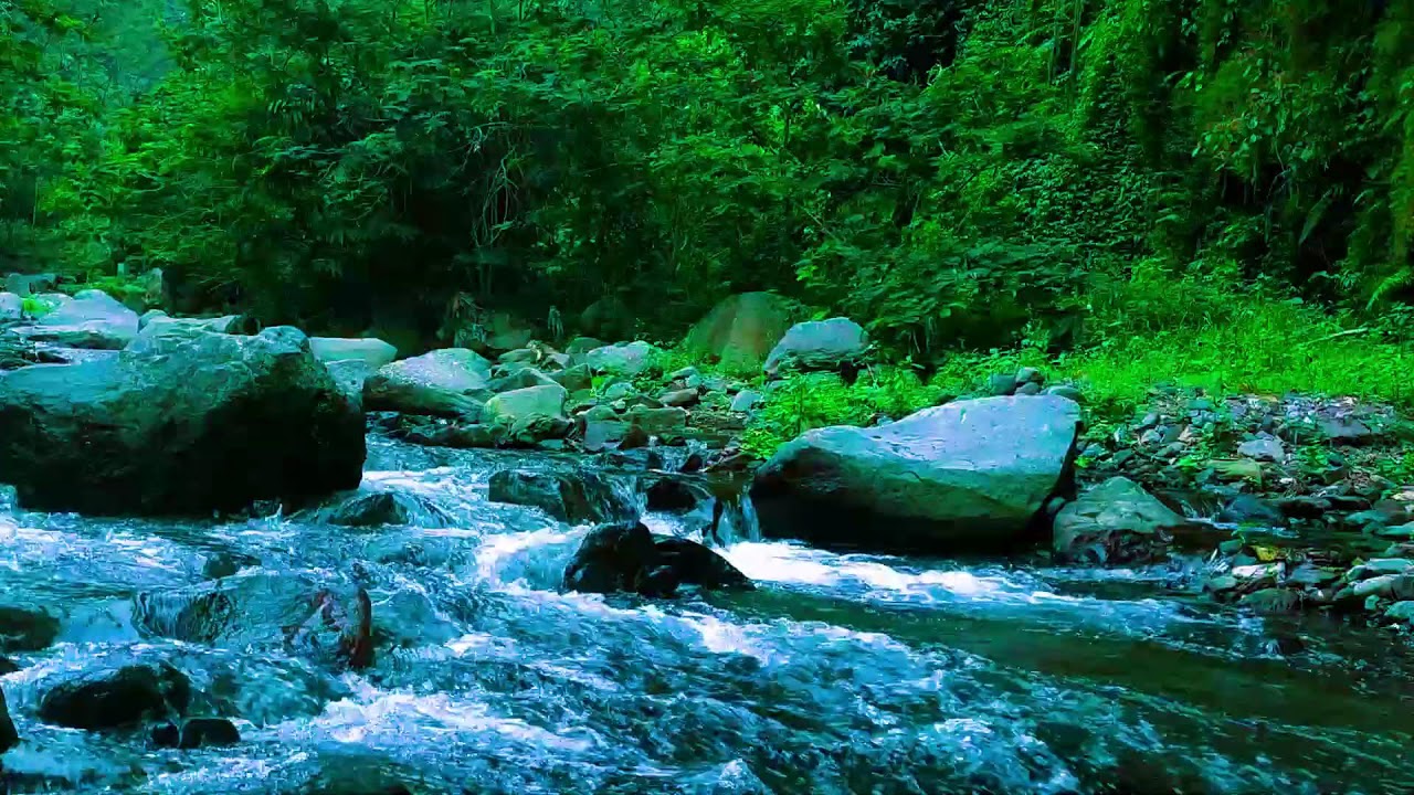 Calm River Water Sounds  10 Hours Stress  Insomnia Relief