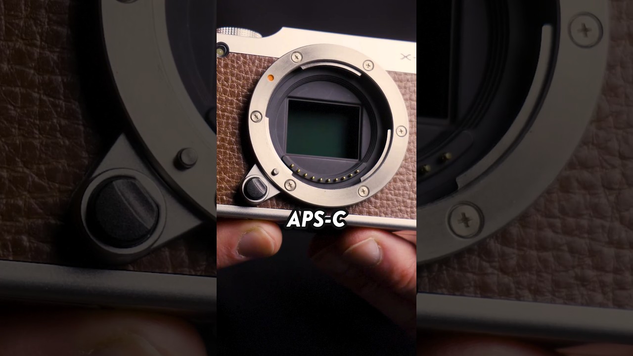 3 Best Cameras For UNDER $250 📸💸