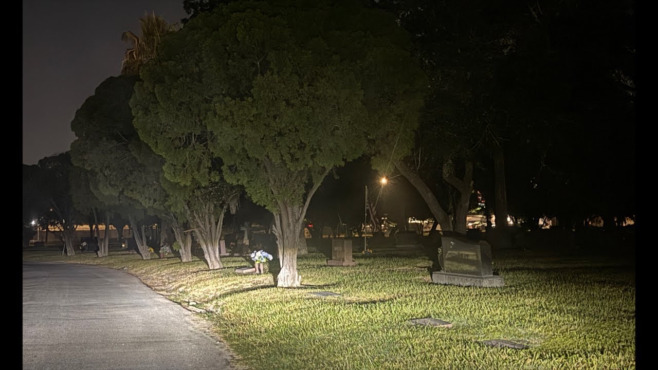 El cementerio de don caramelo (francisco salas )