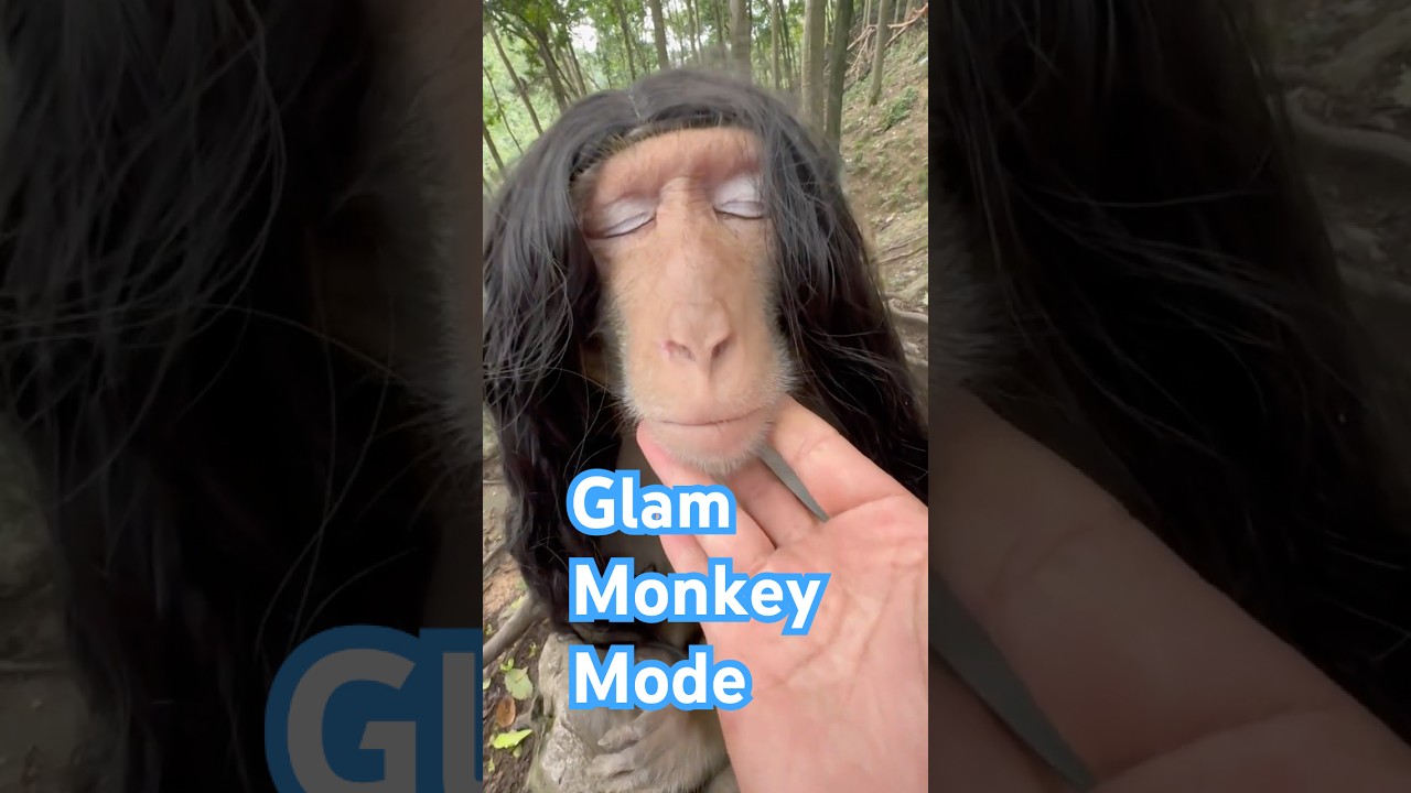 When My Hair Reaches My Waist&hellip; Will You Marry Me? | Monkey Makeover 😂 #monkey #macaque #wig