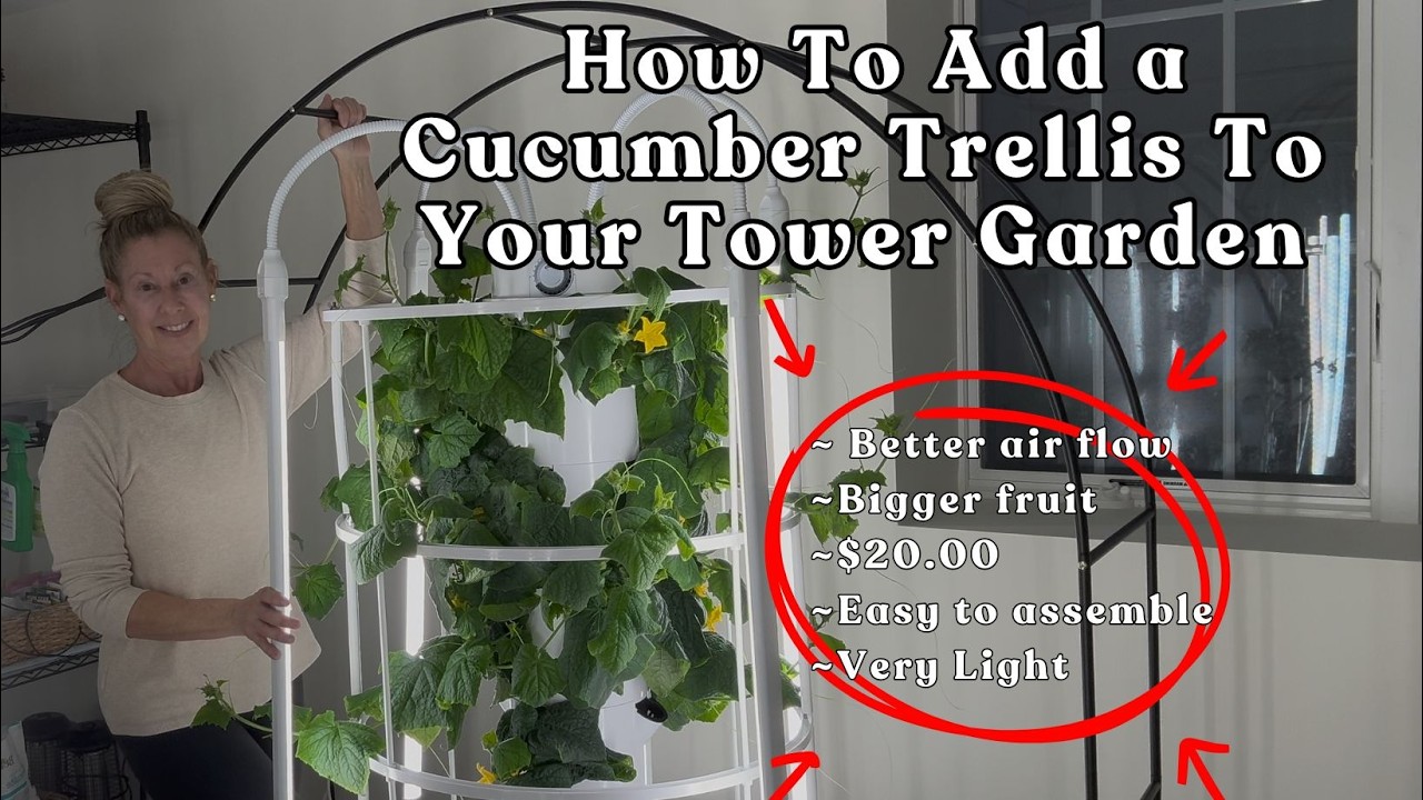 How To Add a Cucumber Trellis To Your #towergarden for Bigger #cucumbers on Your #hydroponicgarden