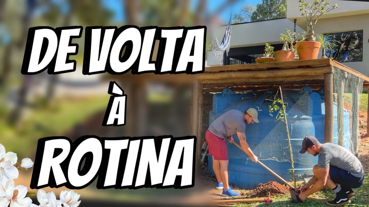 ESSA é a ROTINA que a gente AMA | Henrique Buttler